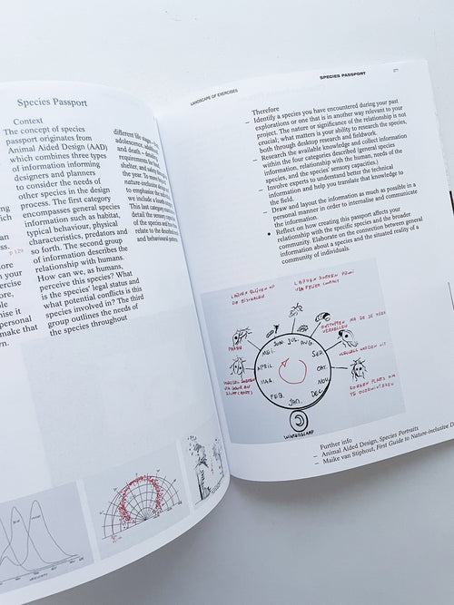 DECENTERING DESIGN — PRACTICE IN A MORE-THAN- HUMAN WORLD