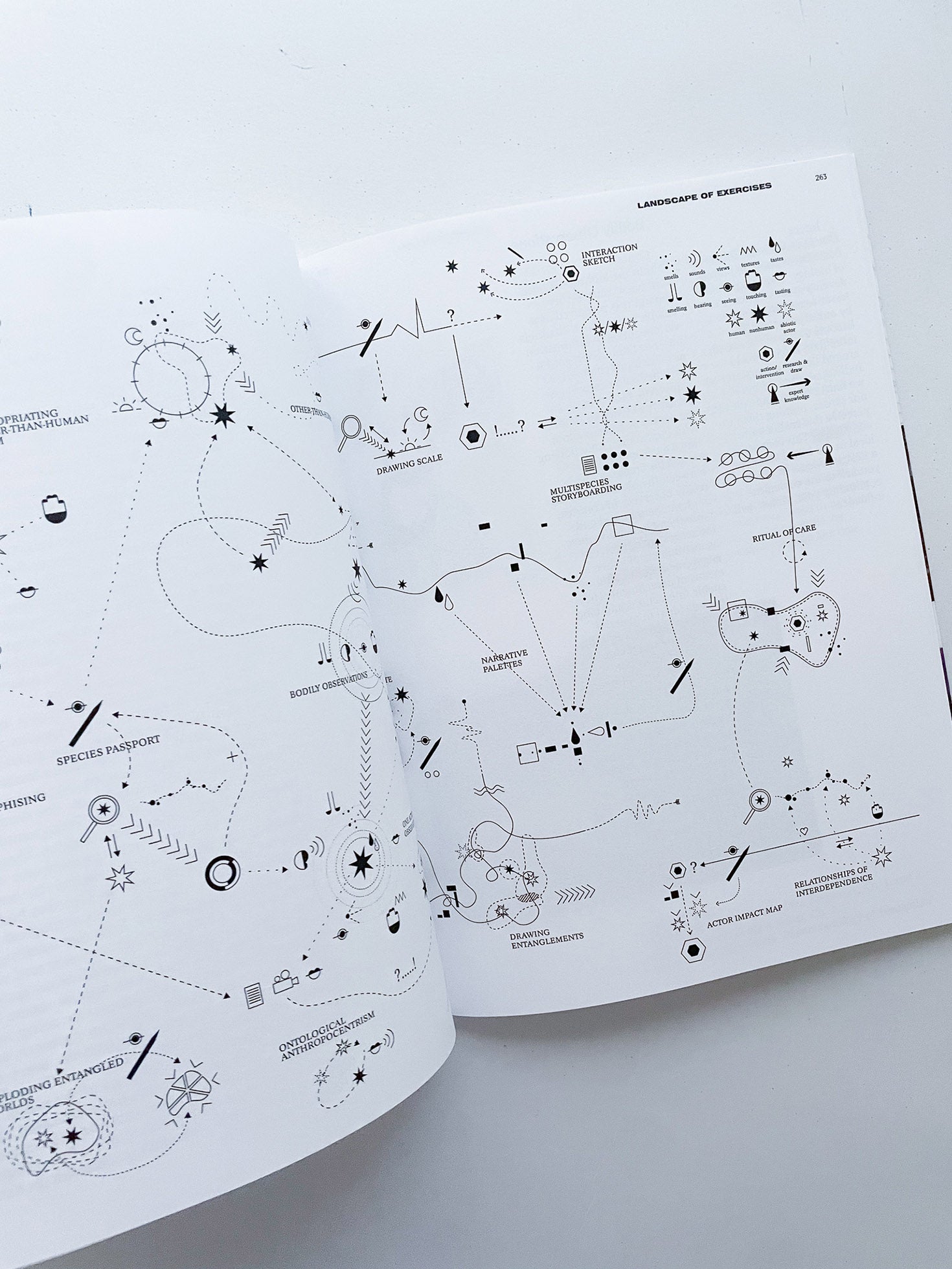 DECENTERING DESIGN — PRACTICE IN A MORE-THAN- HUMAN WORLD