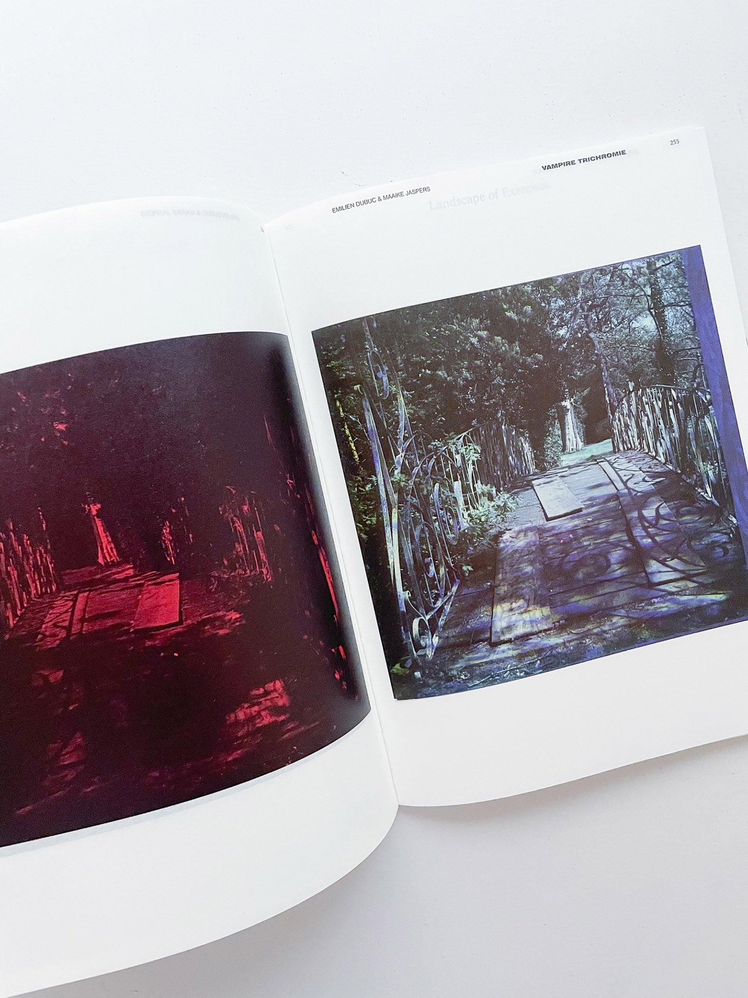 DECENTERING DESIGN — PRACTICE IN A MORE-THAN- HUMAN WORLD