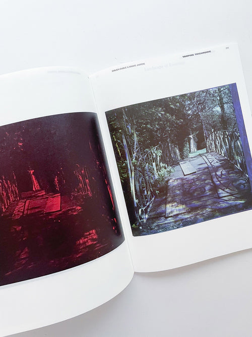 DECENTERING DESIGN — PRACTICE IN A MORE-THAN- HUMAN WORLD