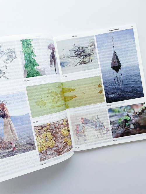 DECENTERING DESIGN — PRACTICE IN A MORE-THAN- HUMAN WORLD