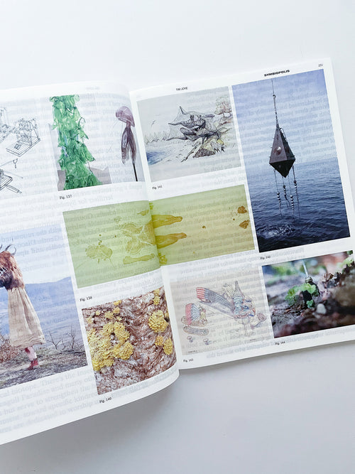 DECENTERING DESIGN — PRACTICE IN A MORE-THAN- HUMAN WORLD