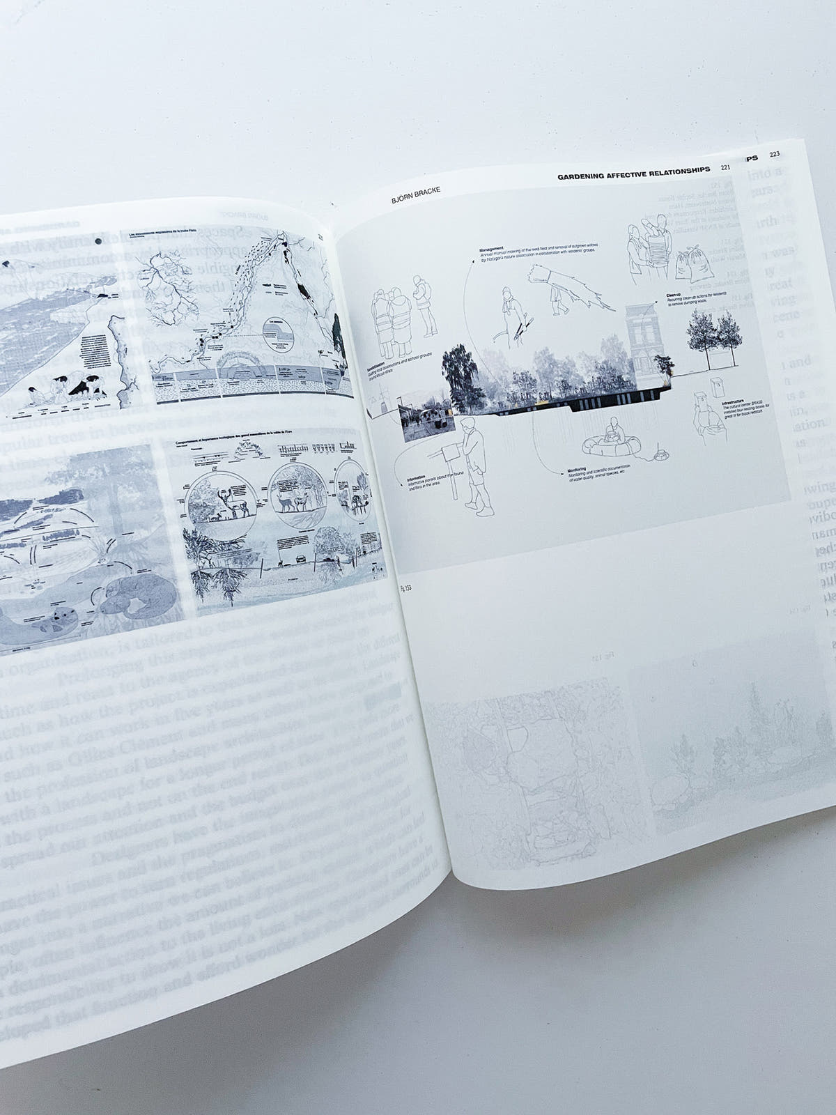 DECENTERING DESIGN — PRACTICE IN A MORE-THAN- HUMAN WORLD