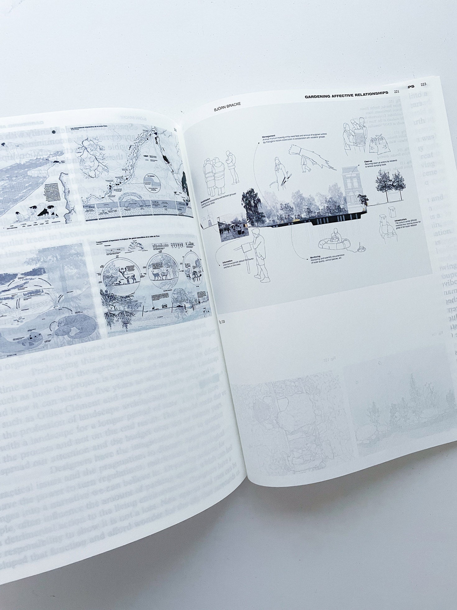 DECENTERING DESIGN — PRACTICE IN A MORE-THAN- HUMAN WORLD