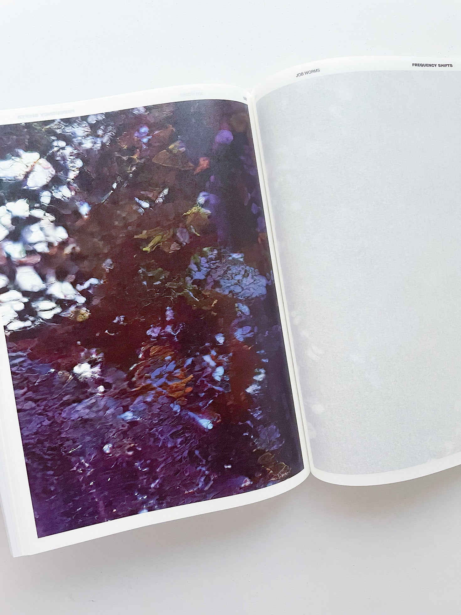 DECENTERING DESIGN — PRACTICE IN A MORE-THAN- HUMAN WORLD