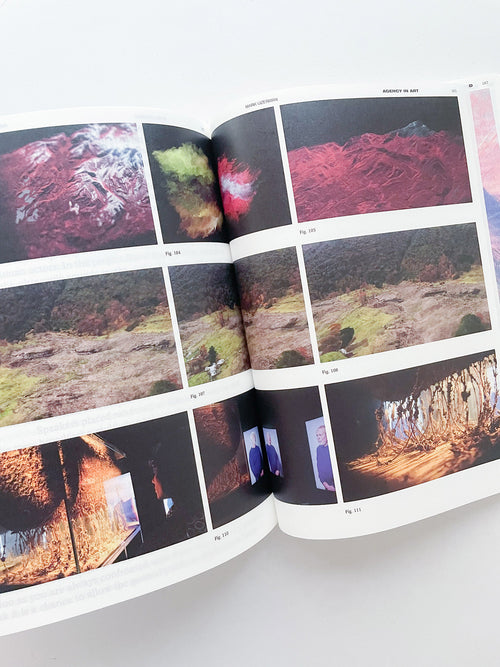 DECENTERING DESIGN — PRACTICE IN A MORE-THAN- HUMAN WORLD