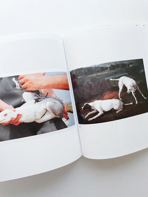 DECENTERING DESIGN — PRACTICE IN A MORE-THAN- HUMAN WORLD