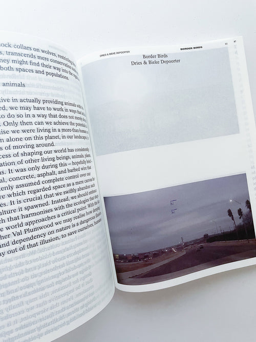 DECENTERING DESIGN — PRACTICE IN A MORE-THAN- HUMAN WORLD