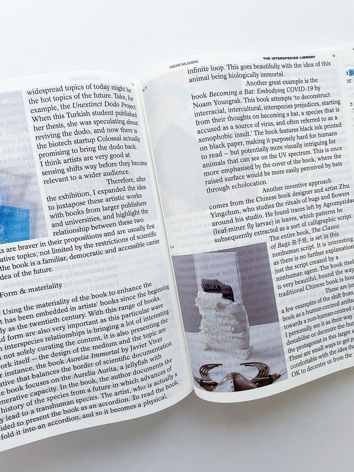 DECENTERING DESIGN — PRACTICE IN A MORE-THAN- HUMAN WORLD