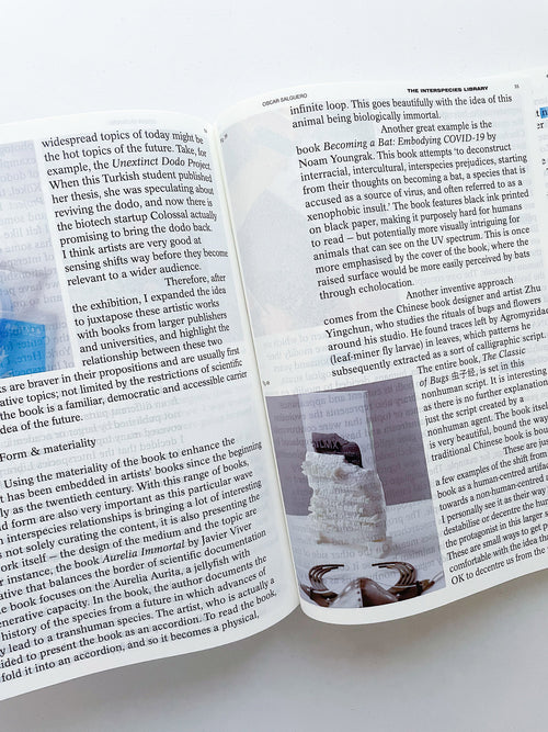 DECENTERING DESIGN — PRACTICE IN A MORE-THAN- HUMAN WORLD