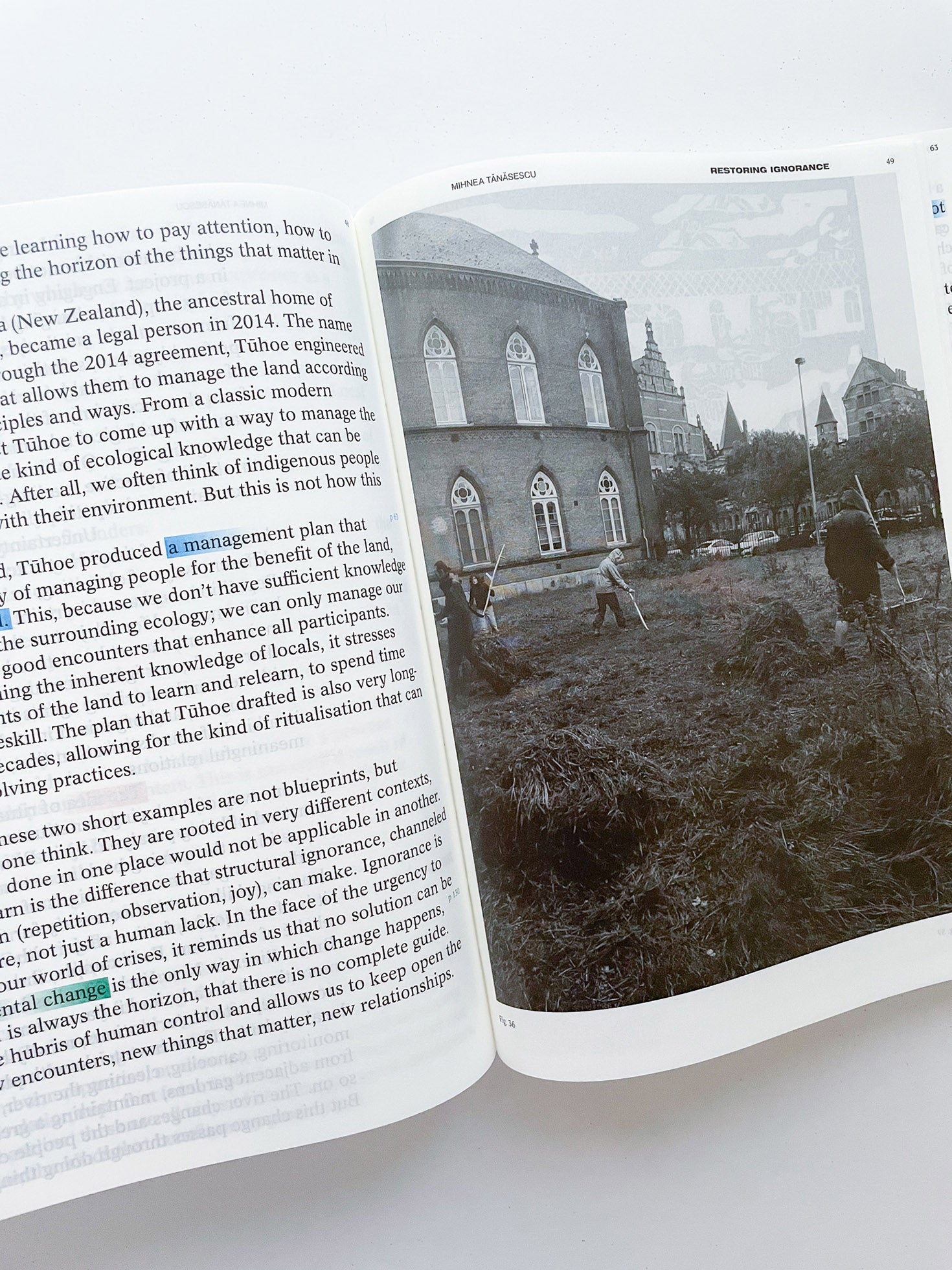 DECENTERING DESIGN — PRACTICE IN A MORE-THAN- HUMAN WORLD