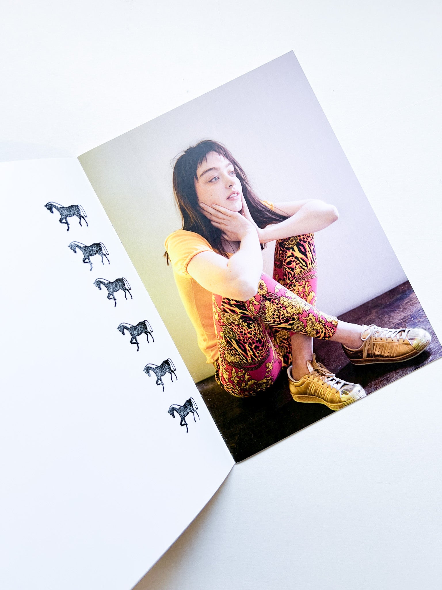 HOOKED ON HORSES / Valerie Phillips [SIGNED / NUMBERED] - 本屋青旗
