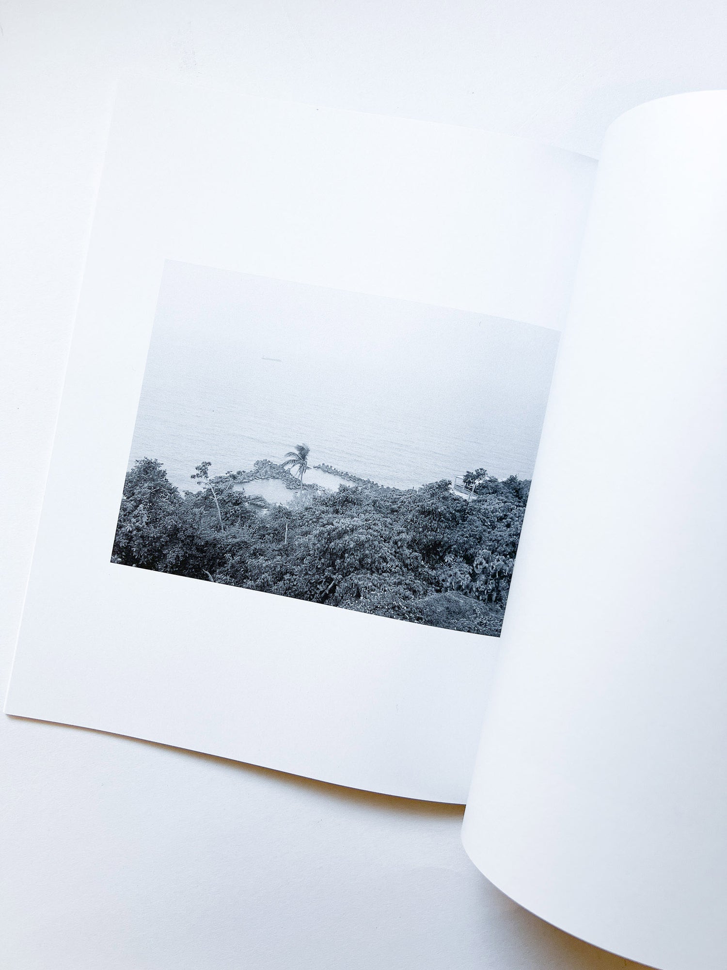 火曜日 / 富澤大輔