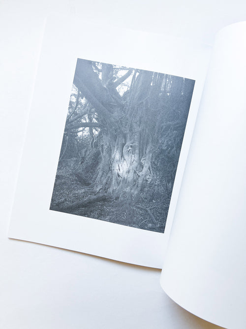 火曜日 / 富澤大輔