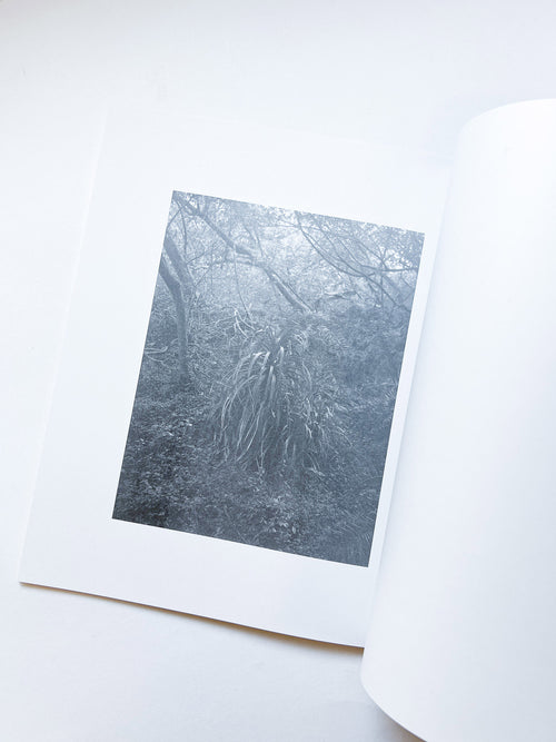 火曜日 / 富澤大輔