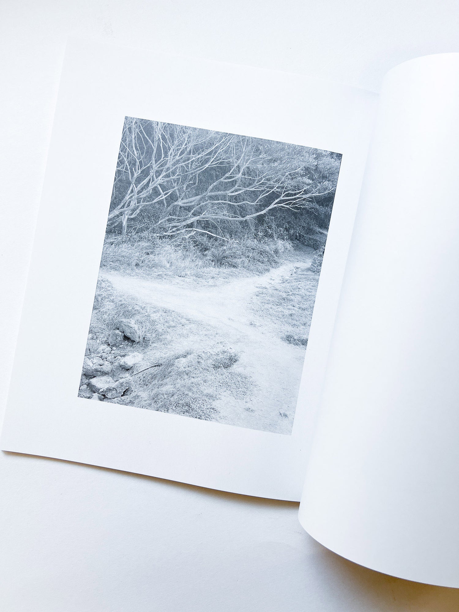 火曜日 / 富澤大輔