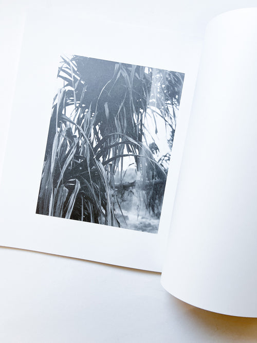 火曜日 / 富澤大輔