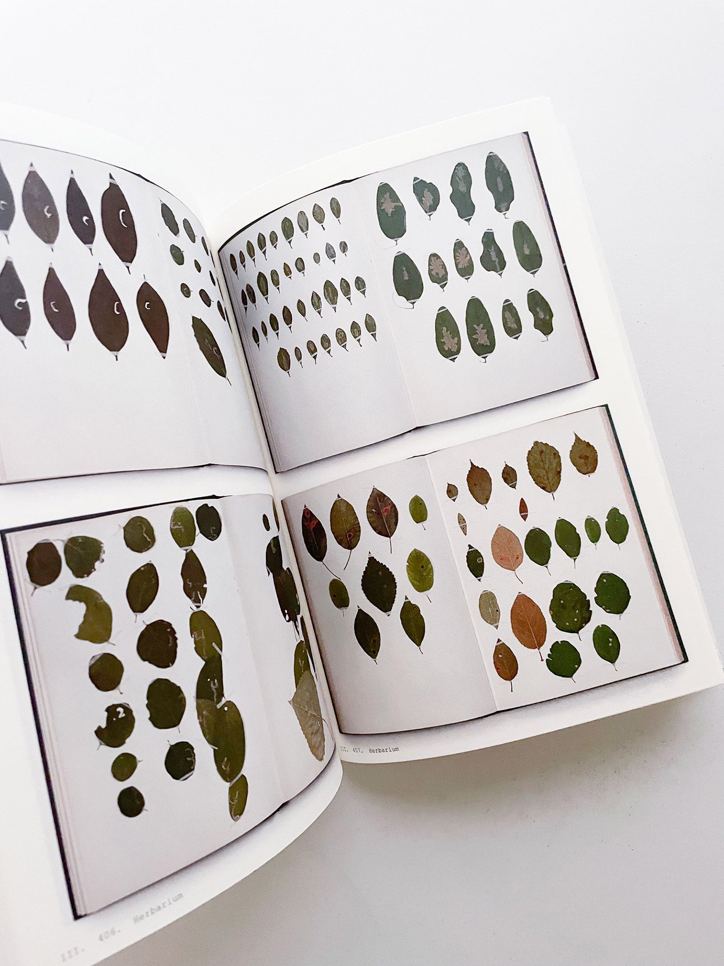 Book of Plants (Second Edition) / Anne Geene