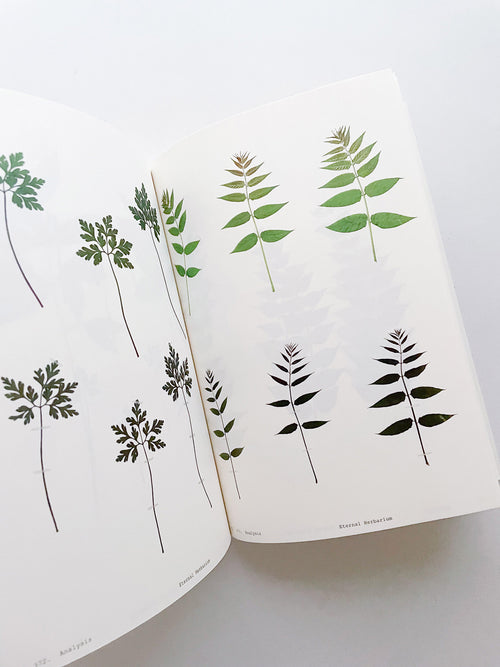 Book of Plants (Second Edition) / Anne Geene