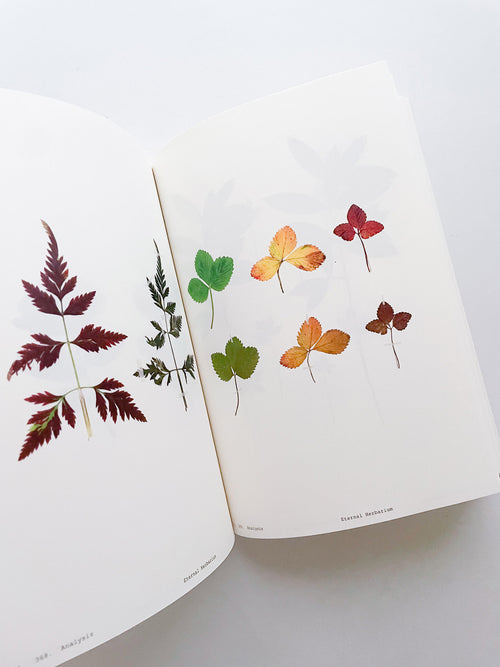 Book of Plants (Second Edition) / Anne Geene