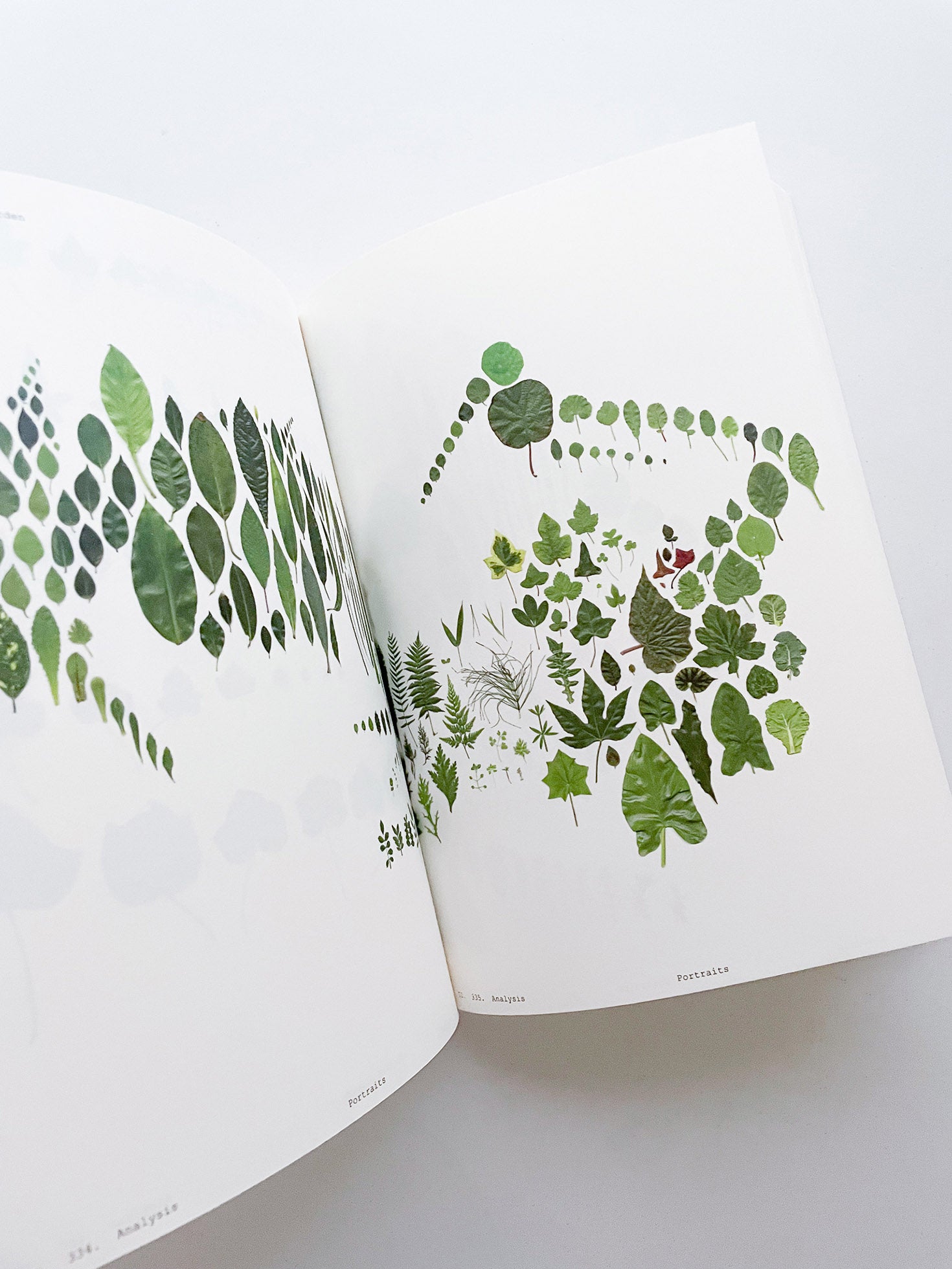 Book of Plants (Second Edition) / Anne Geene
