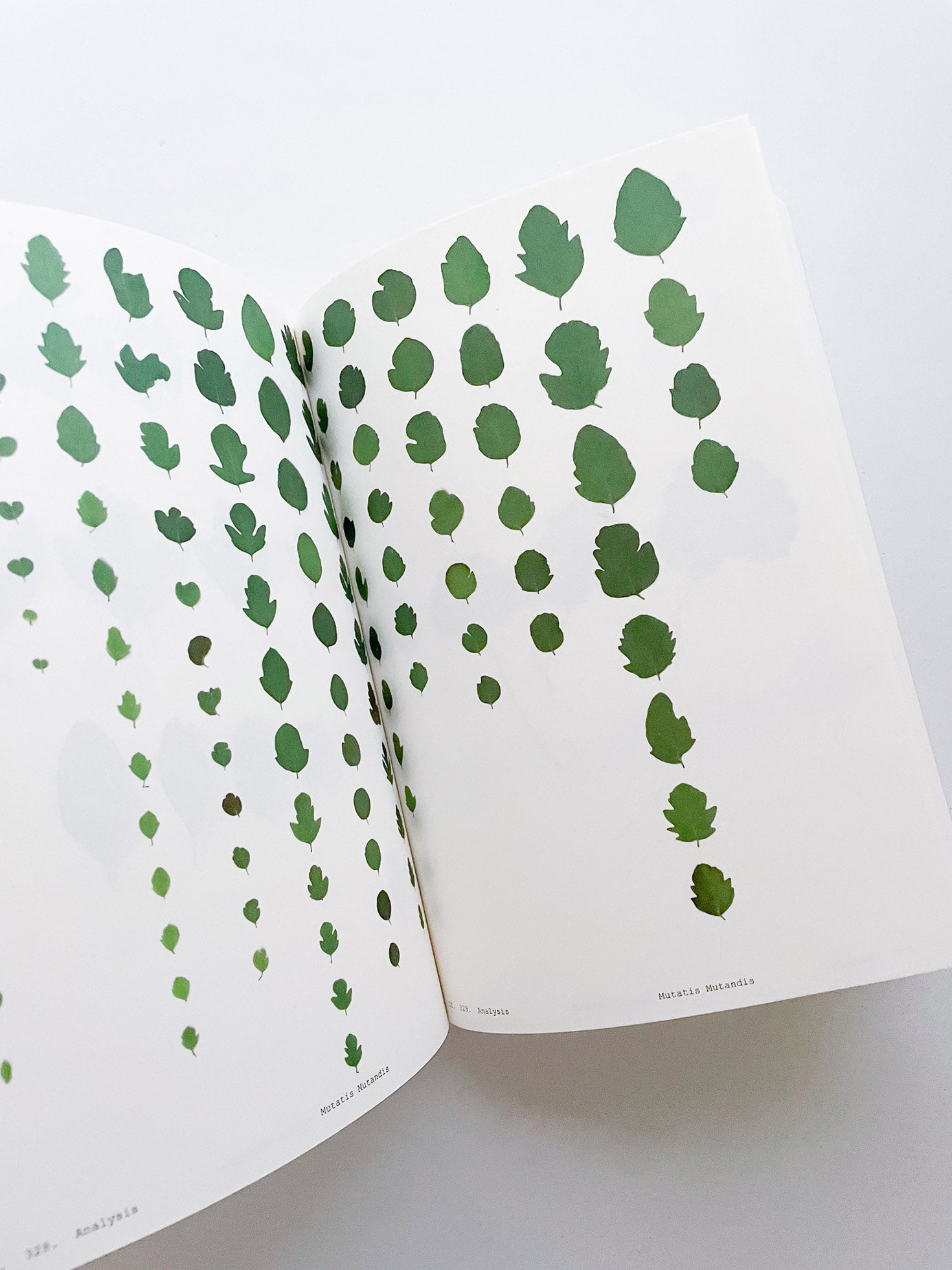 Book of Plants (Second Edition) / Anne Geene