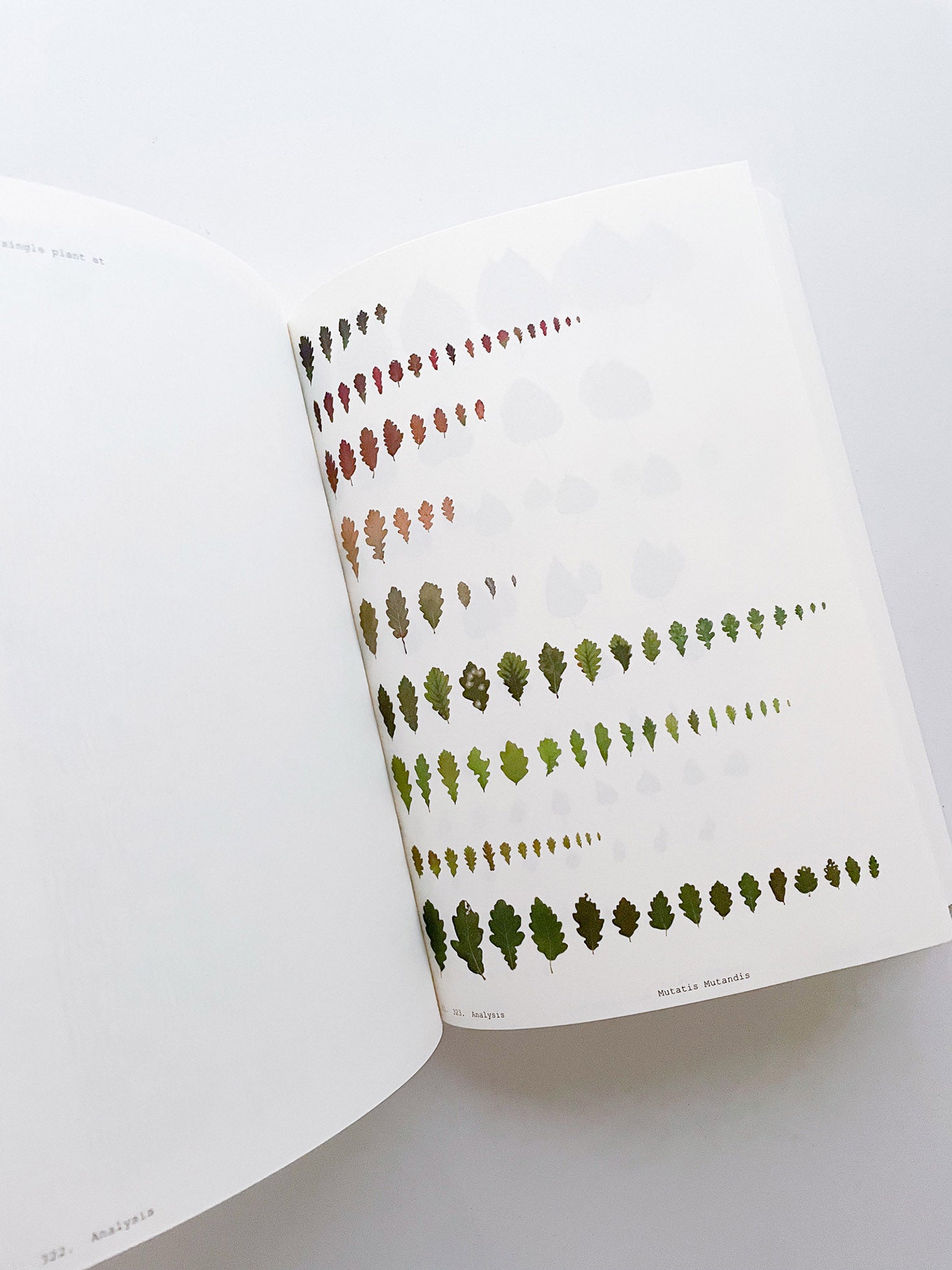 Book of Plants (Second Edition) / Anne Geene
