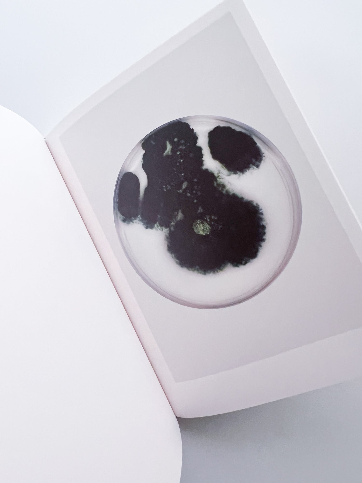 The Outer Inner World / Nicolai Howalt