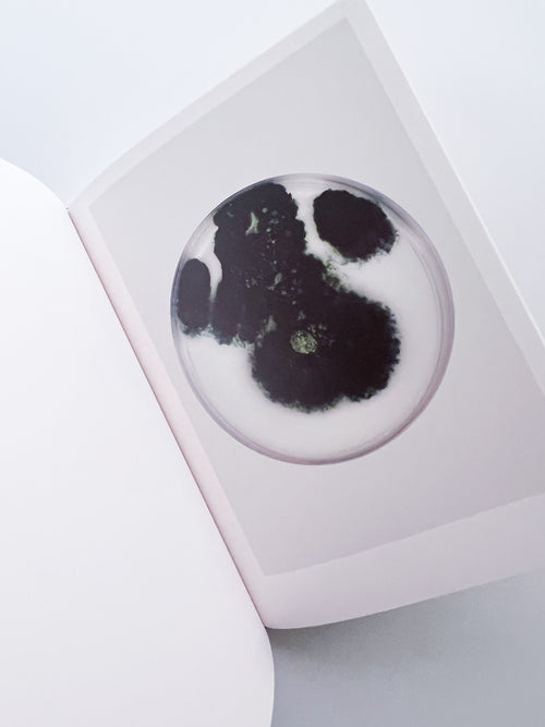 The Outer Inner World / Nicolai Howalt