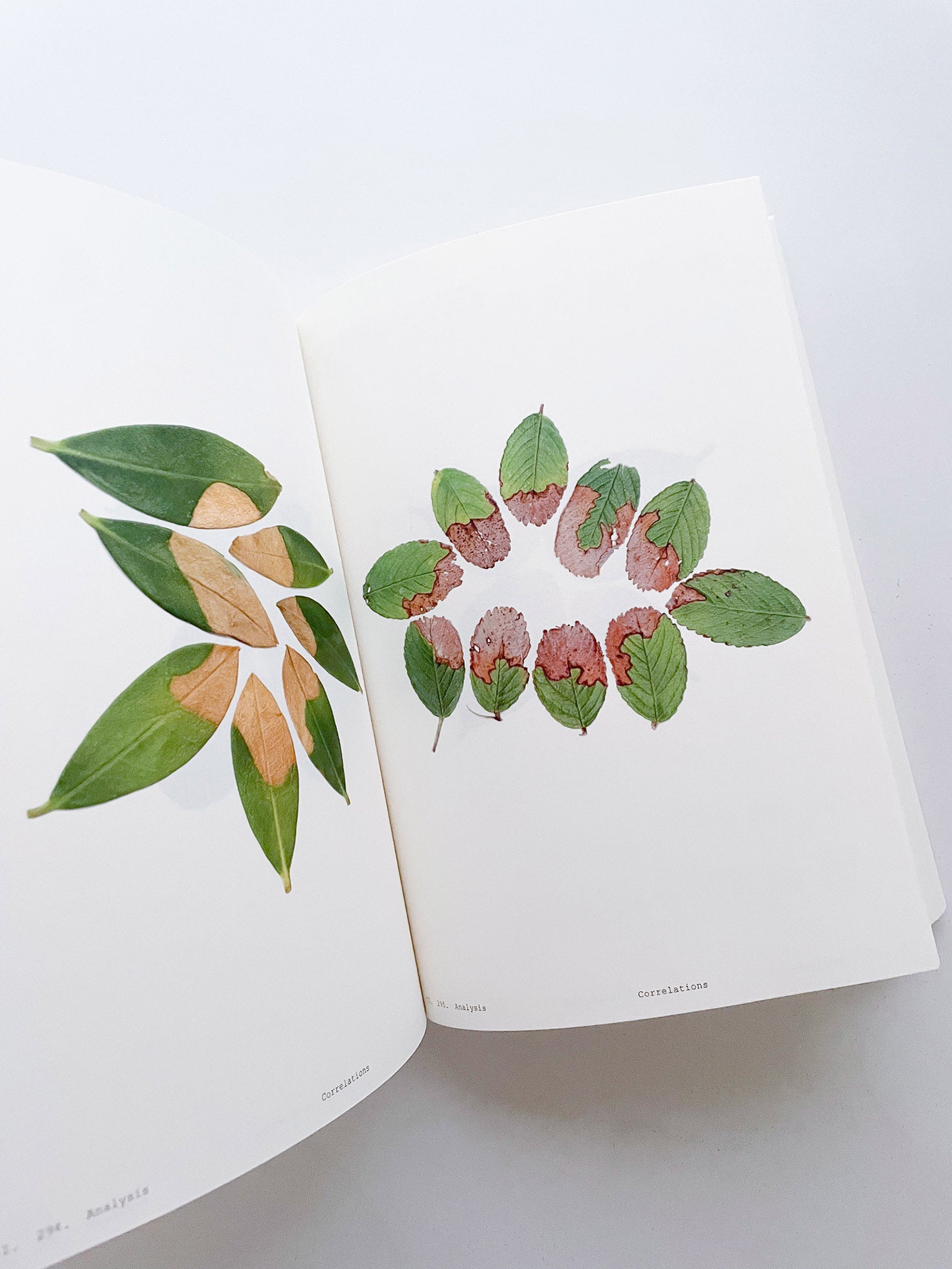Book of Plants (Second Edition) / Anne Geene
