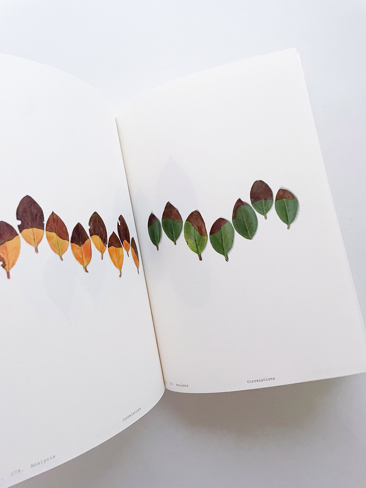 Book of Plants (Second Edition) / Anne Geene