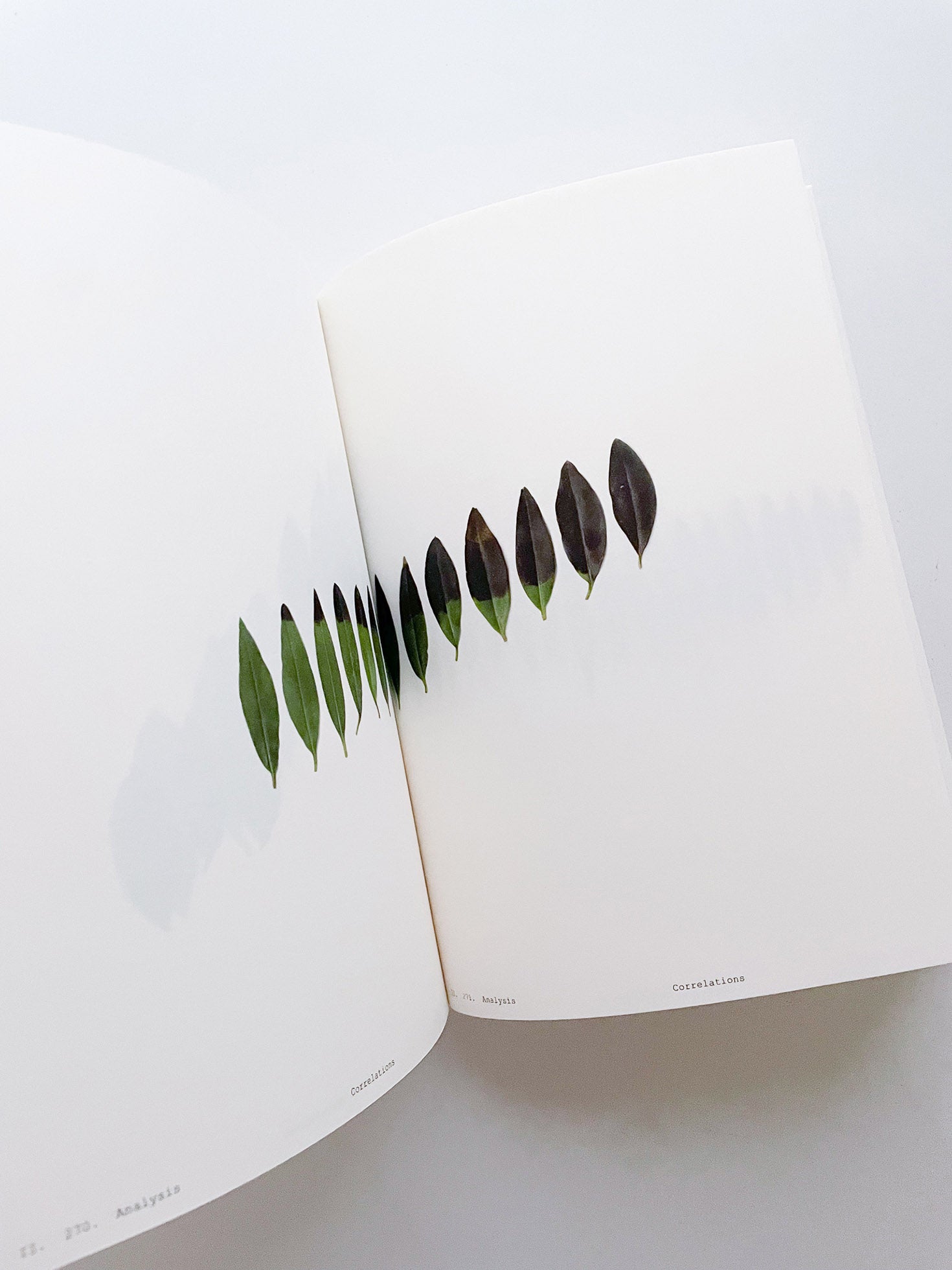 Book of Plants (Second Edition) / Anne Geene