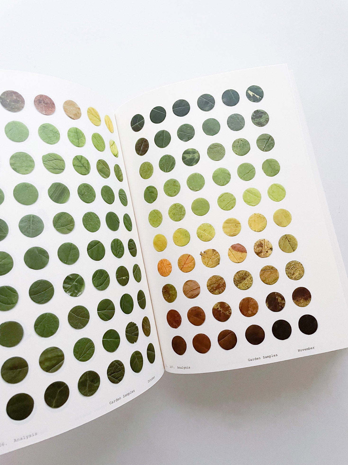 Book of Plants (Second Edition) / Anne Geene