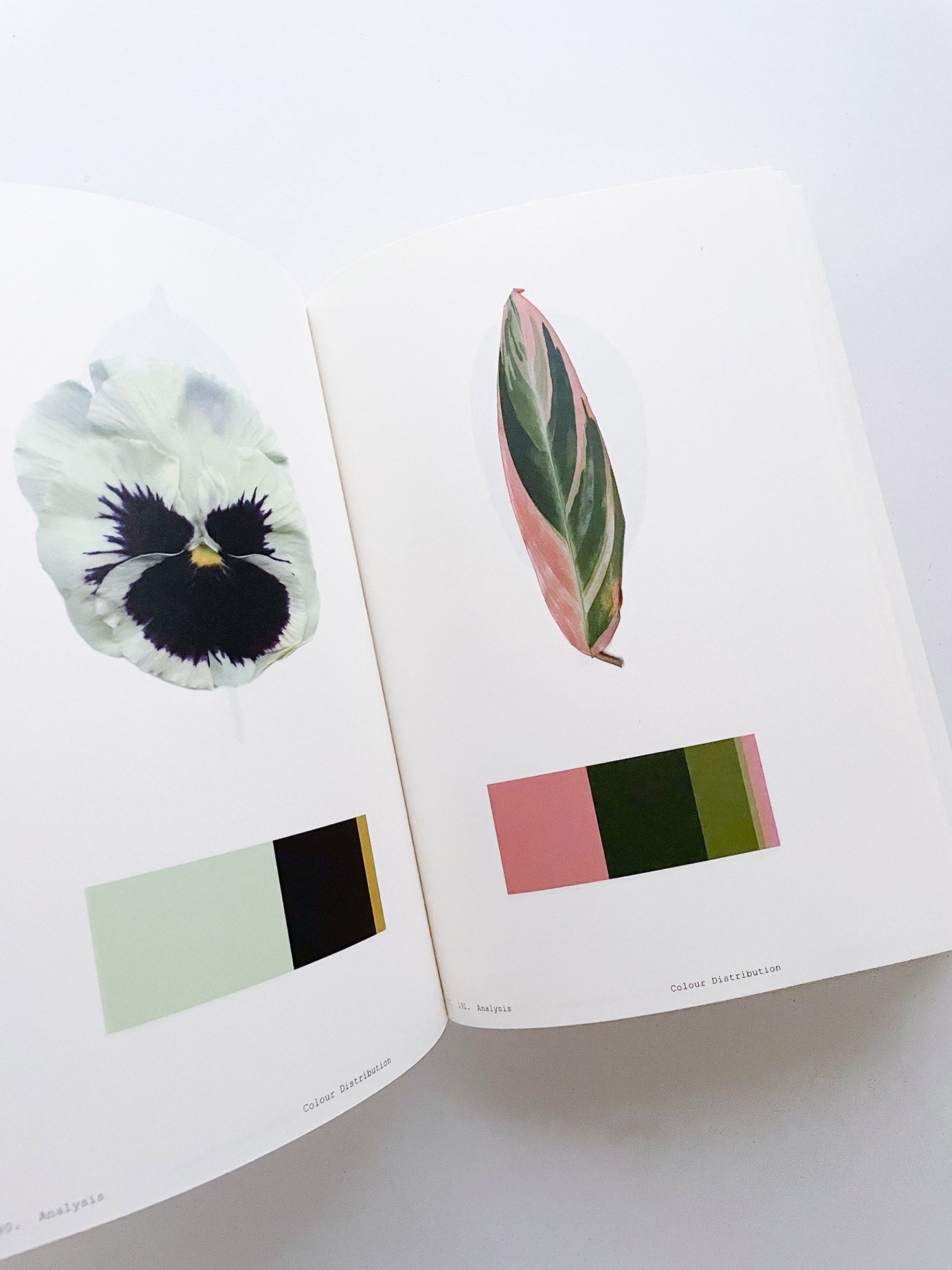 Book of Plants (Second Edition) / Anne Geene