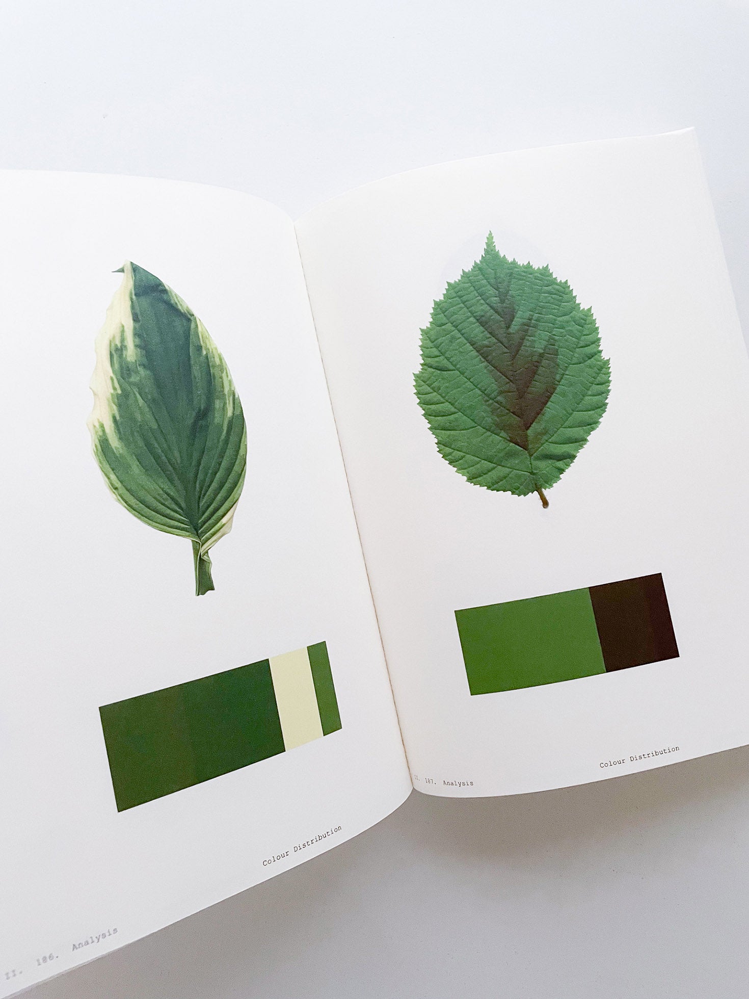 Book of Plants (Second Edition) / Anne Geene
