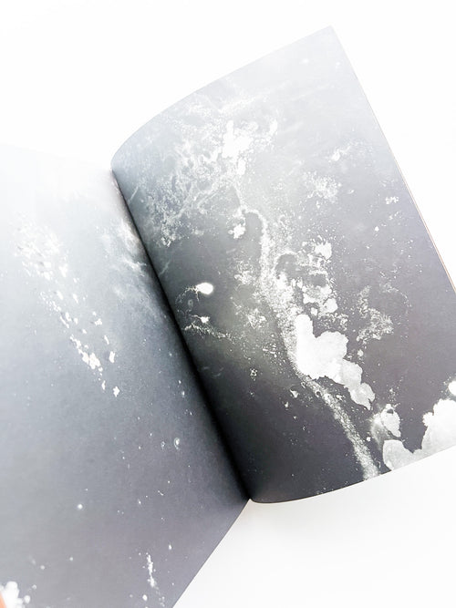 Fungi / Nicolai Howalt