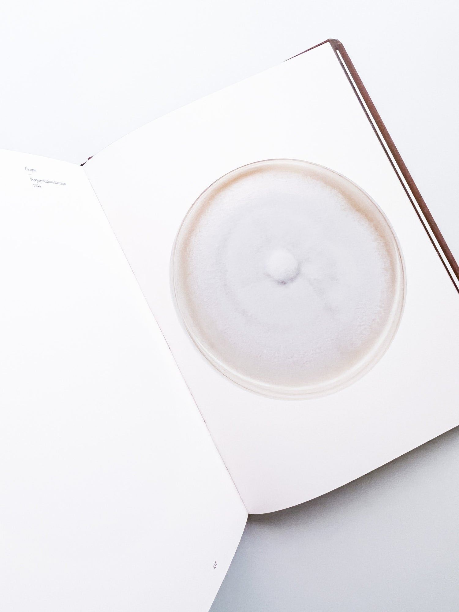 Fungi / Nicolai Howalt