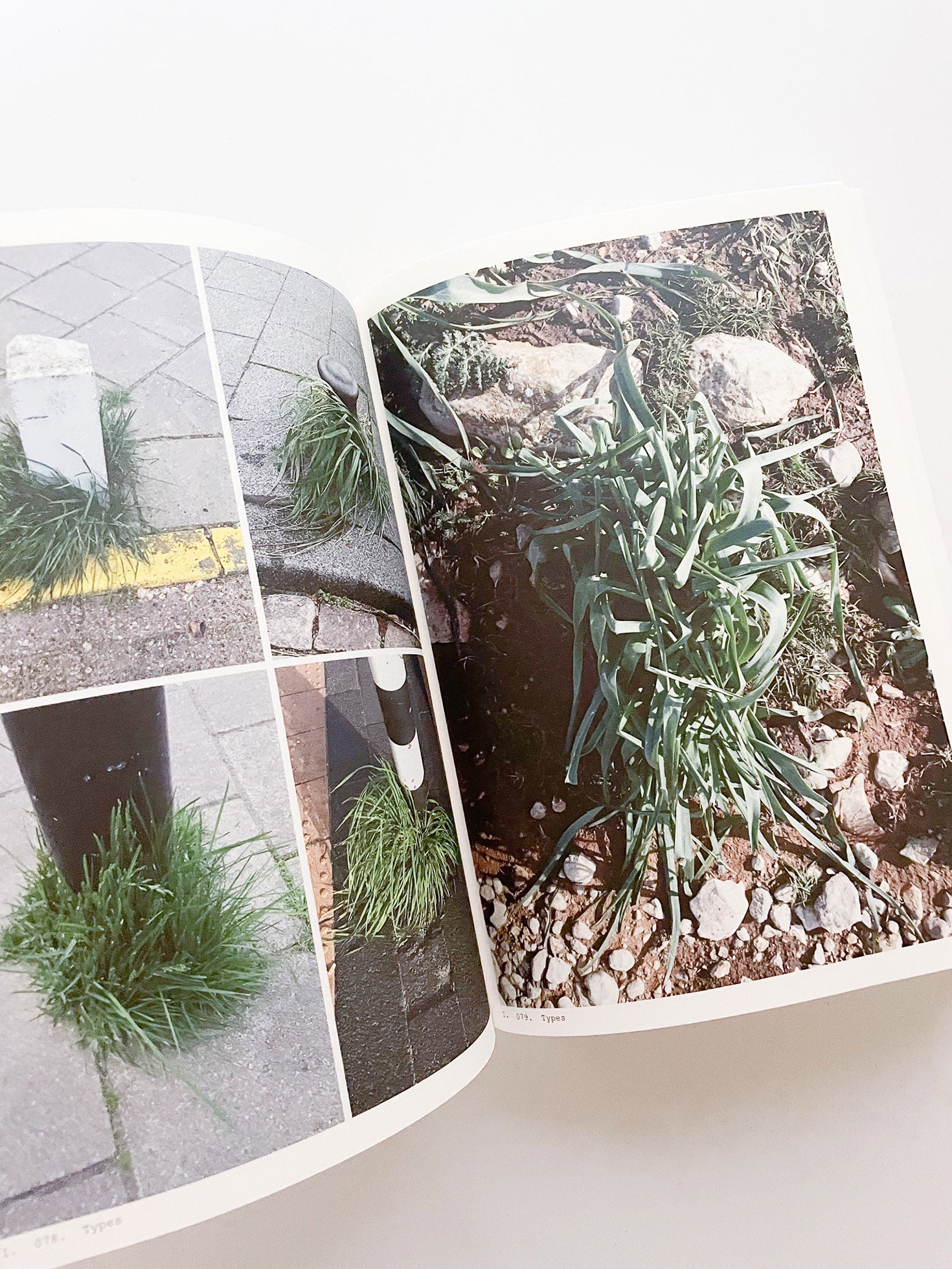 Book of Plants (Second Edition) / Anne Geene