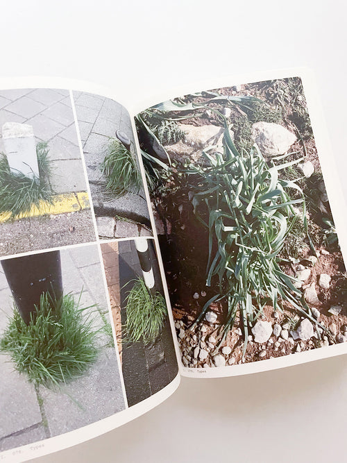 Book of Plants (Second Edition) / Anne Geene