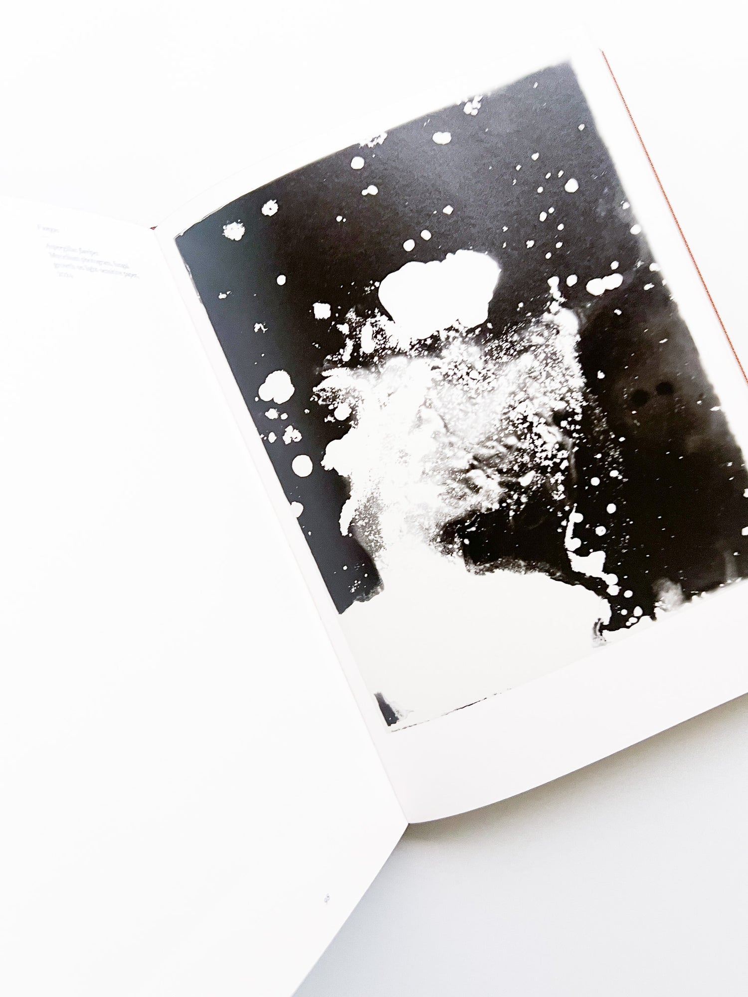 Fungi / Nicolai Howalt