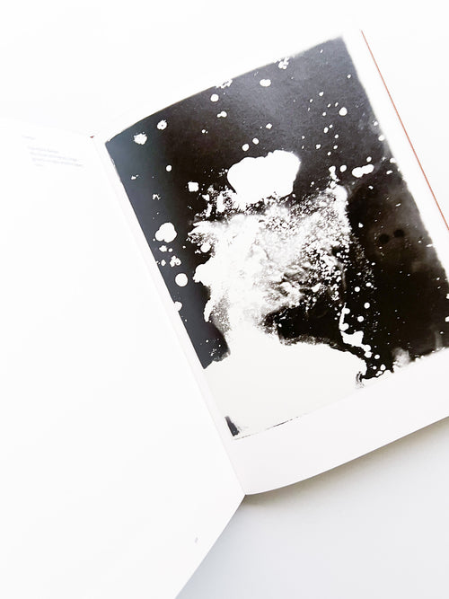 Fungi / Nicolai Howalt