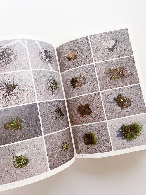 Book of Plants (Second Edition) / Anne Geene