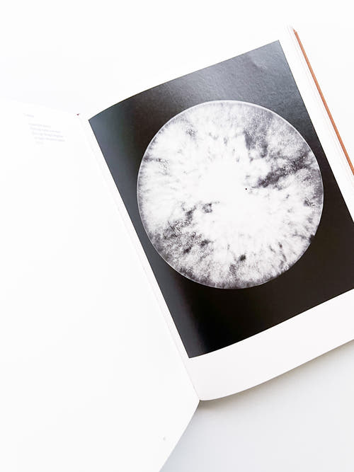 Fungi / Nicolai Howalt