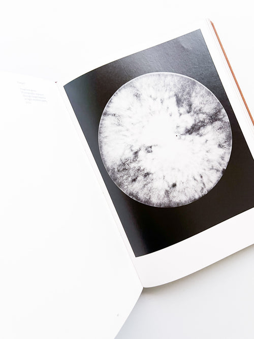 Fungi / Nicolai Howalt