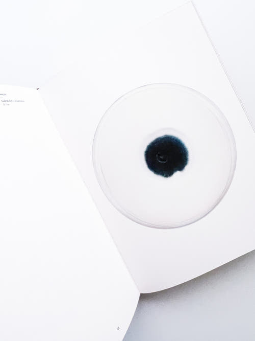 Fungi / Nicolai Howalt