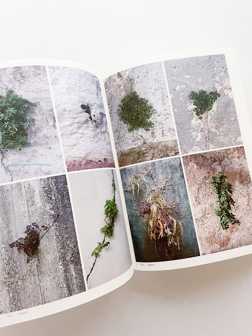 Book of Plants (Second Edition) / Anne Geene