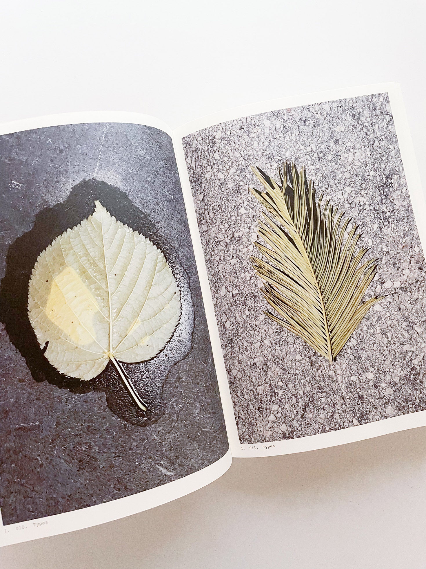 Book of Plants (Second Edition) / Anne Geene