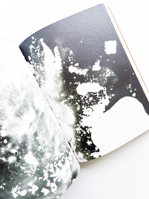 Fungi / Nicolai Howalt