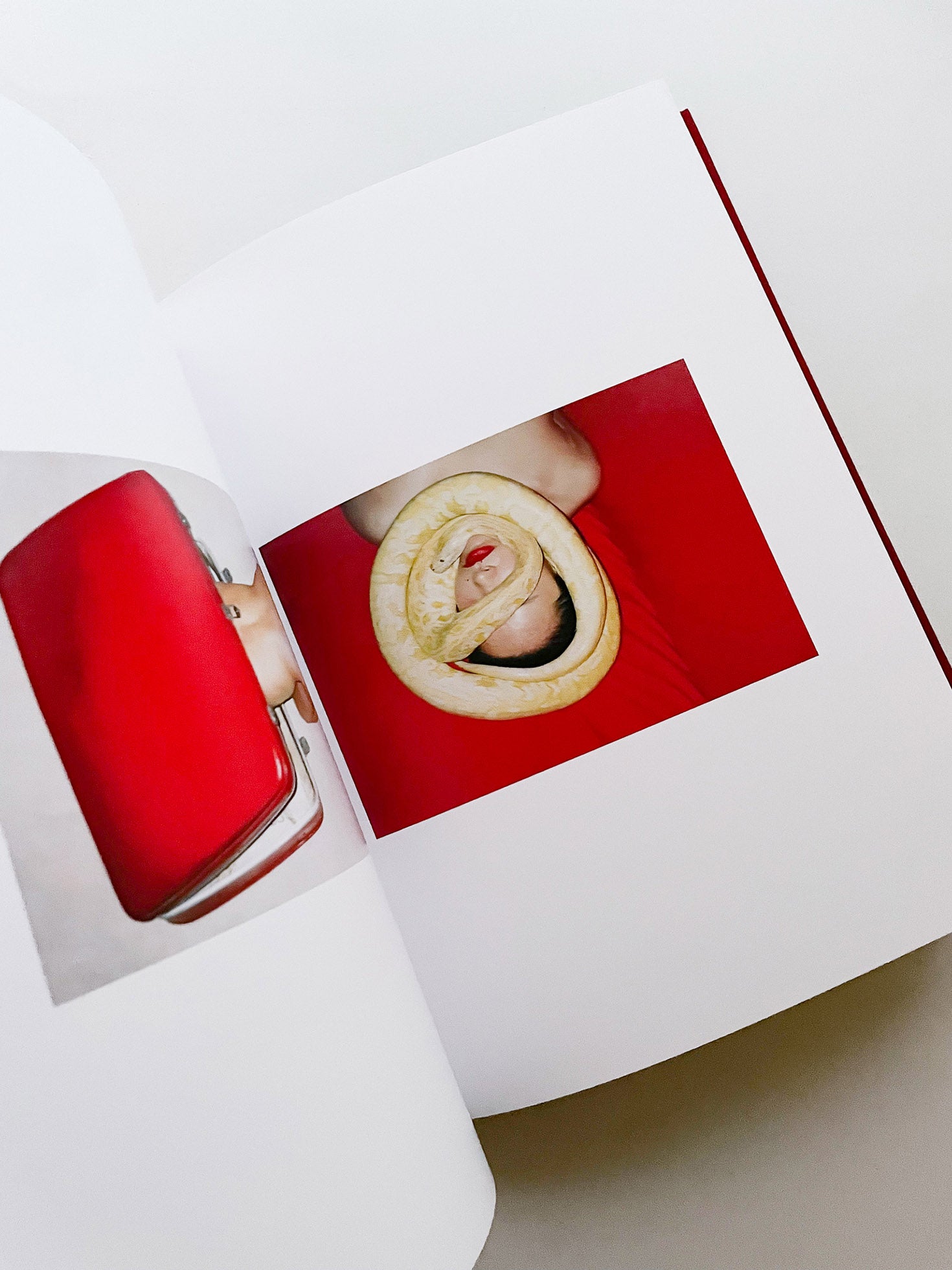 我母親 for my mother／任航 Ren Hang