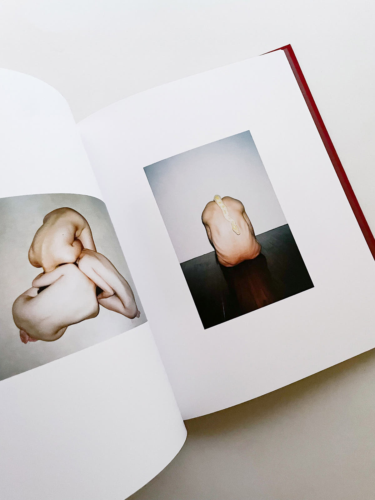 我母親 for my mother／任航 Ren Hang